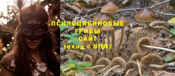марки lsd Медвежьегорск