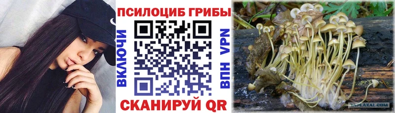 Галлюциногенные грибы прущие грибы  закладки  MEGA зеркало  Новосибирск 